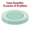 Turquoise Vintage Round Disposable Plastic Dinner Plates - 10" (120 Plates)